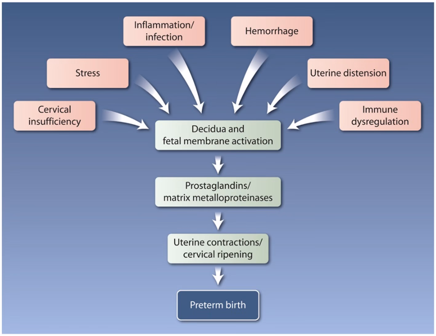 Is miscarriage a risk factor for obstetric complications?
