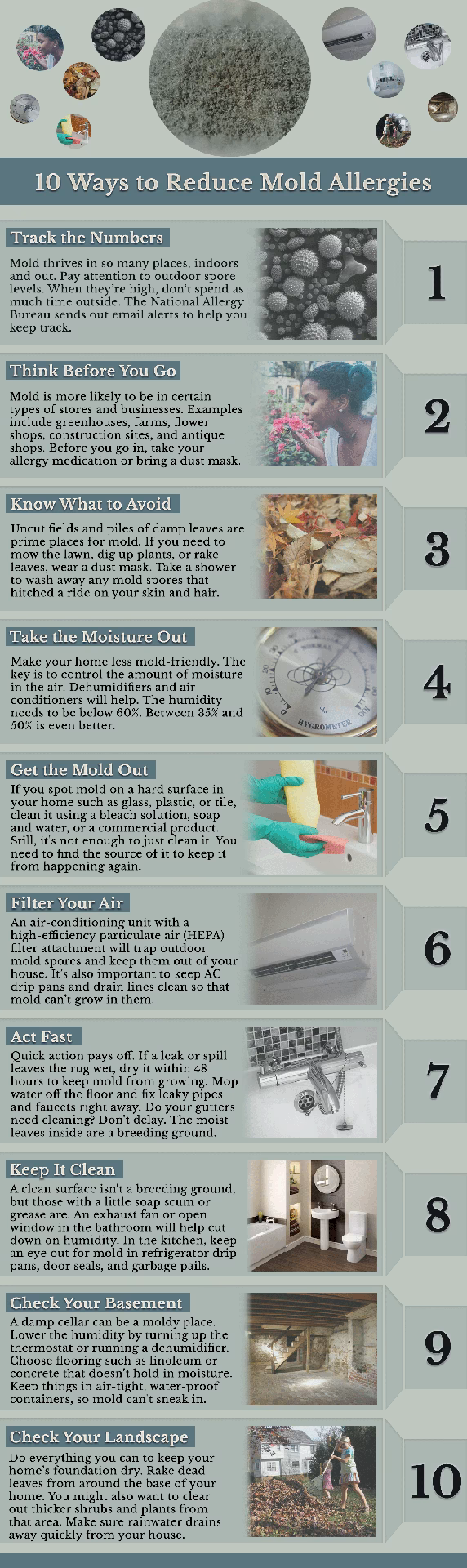What should I eat if I have mold?