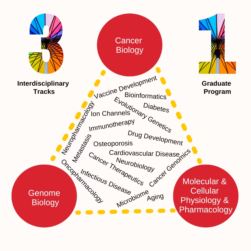 What is a molecular medicine perspective?