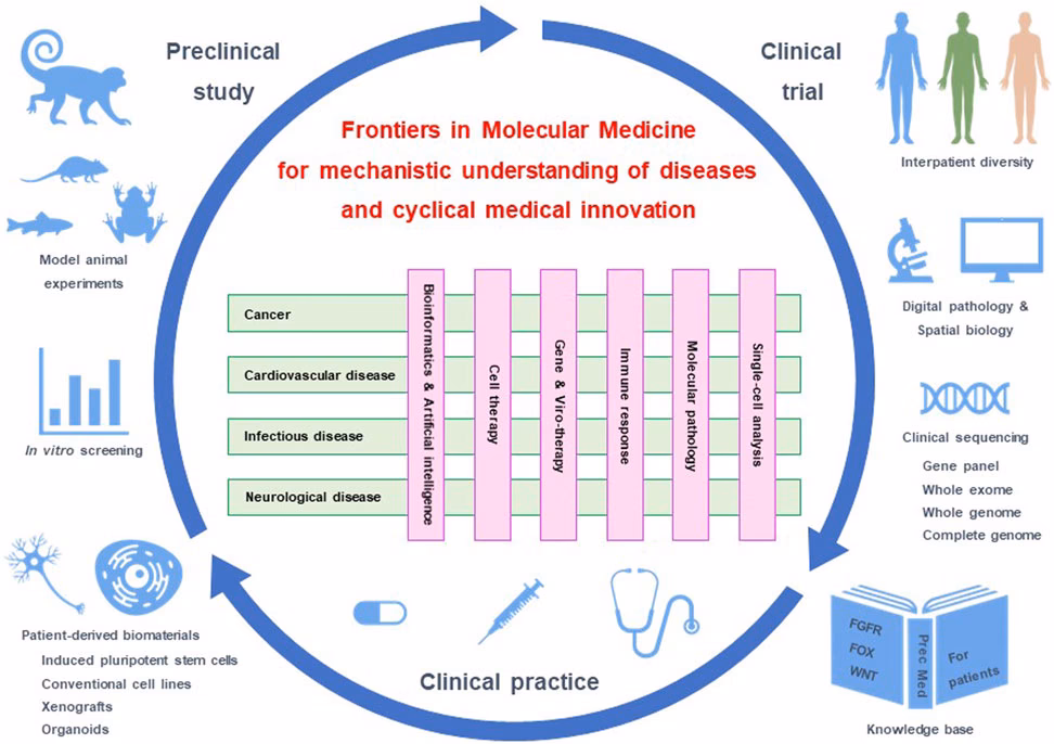 Why is Molecular Medicine important?