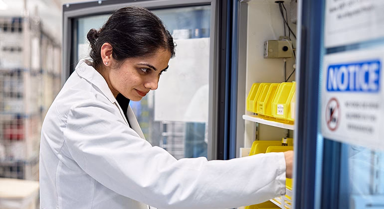 How many pharmacists are there at Mount Sinai?