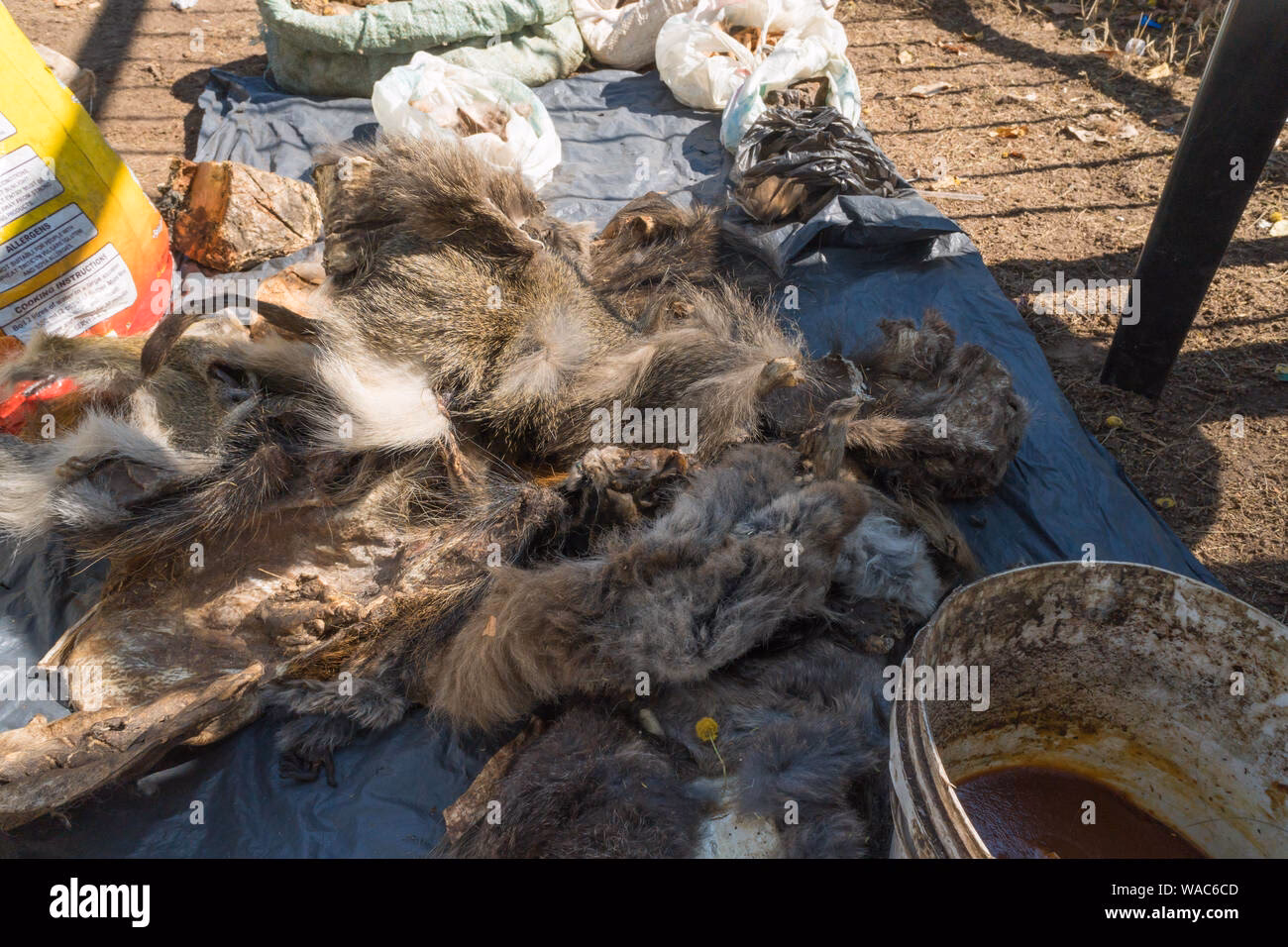 What is a muti herbal medicine?