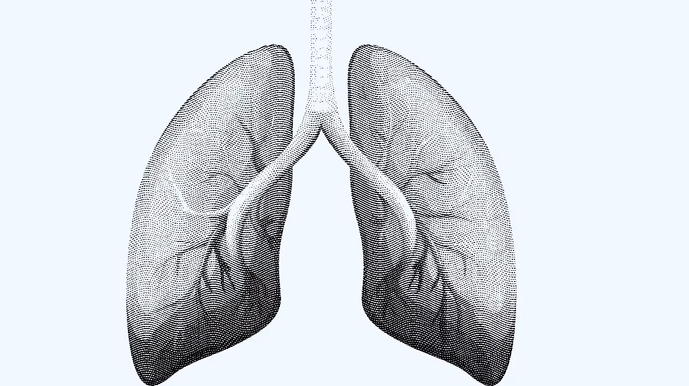 Was sind die Risikofaktoren für Mykosen?