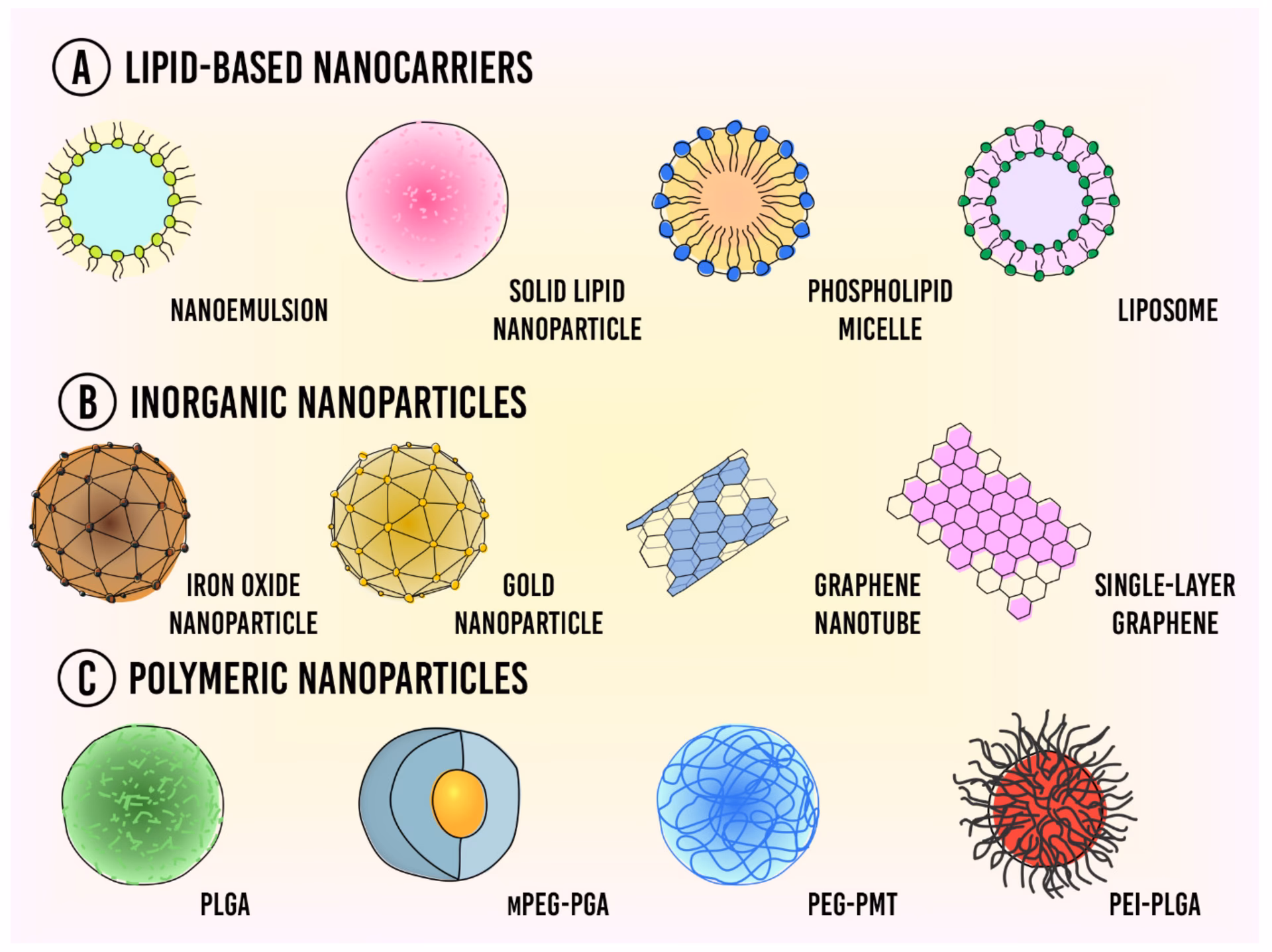 Which nanocarriers are used to deliver anticancer agents?
