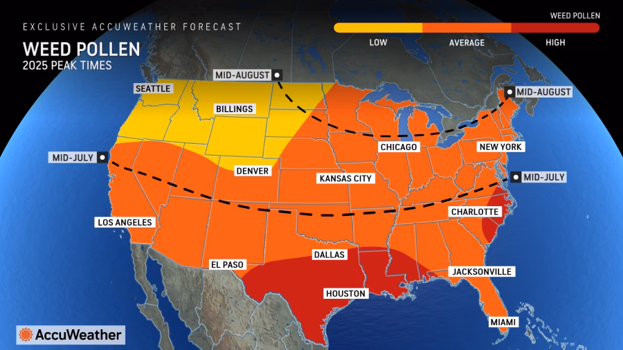 When is National Allergy Day?