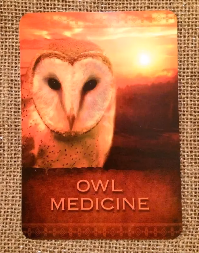 What is a Native American owl?