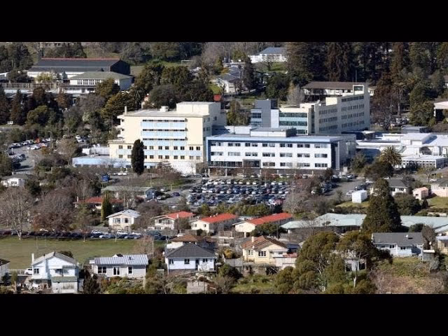 What is Nelson Hospital?