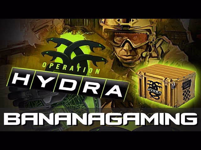 What's new in Operation Hydra CSGO?