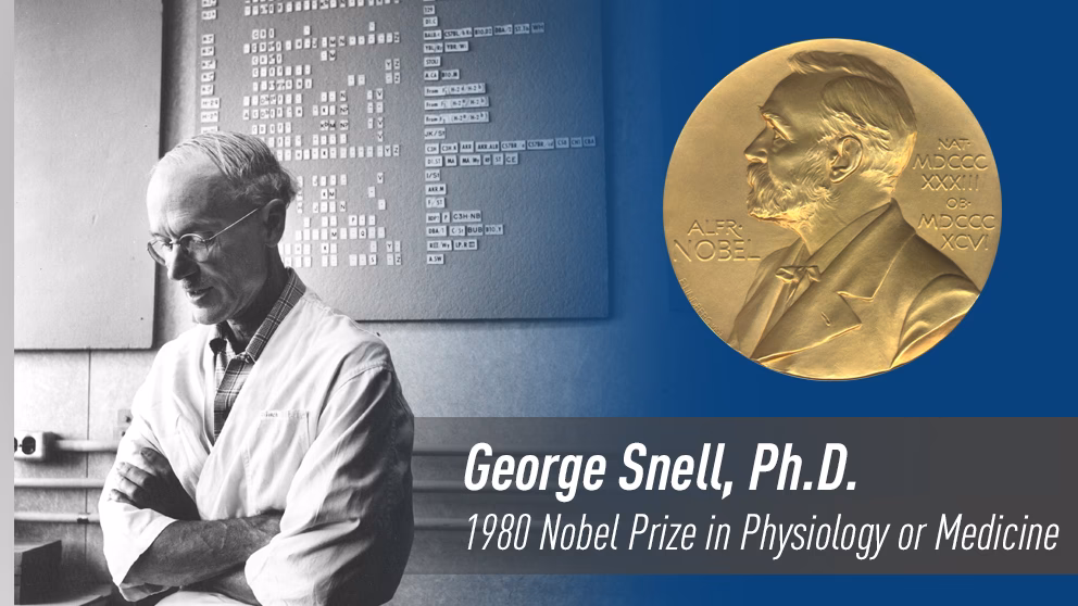 Why did scientists get the Nobel Prize?
