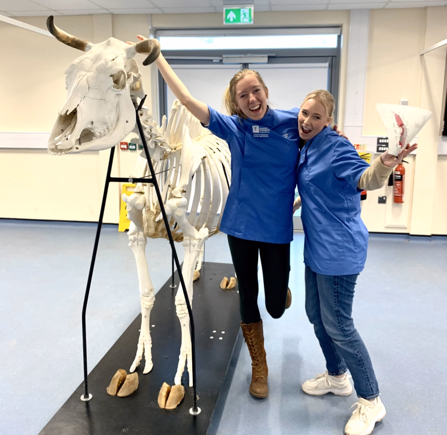 Is Veterinary Medicine a competitive University?