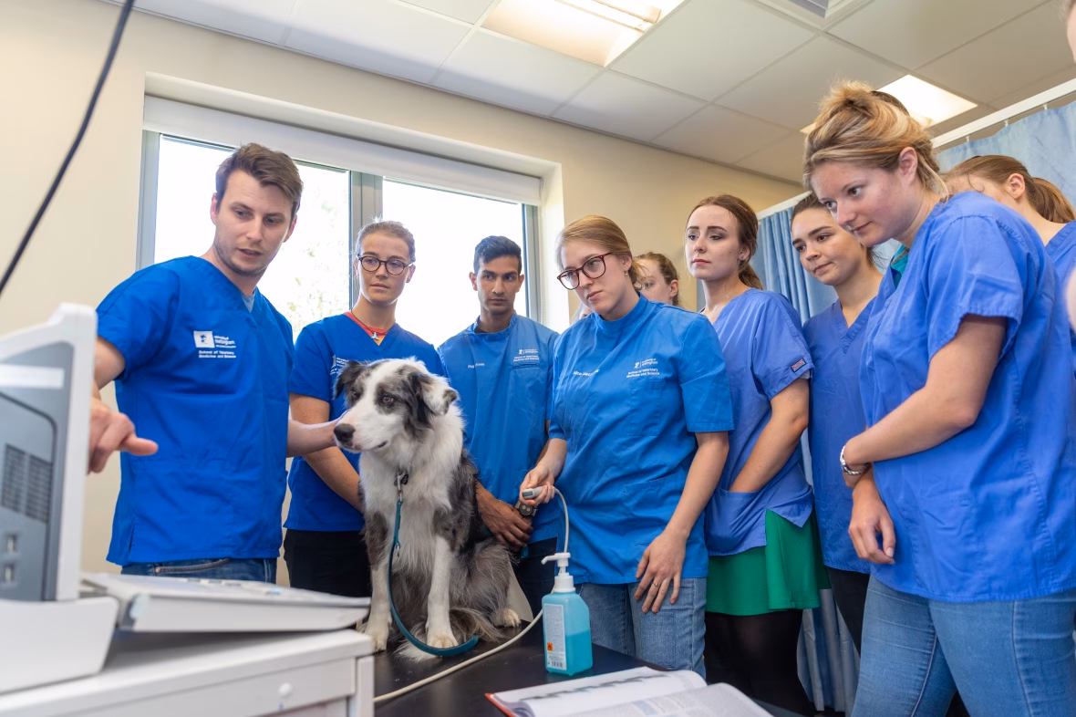 Where is the Nottingham SVMs located?