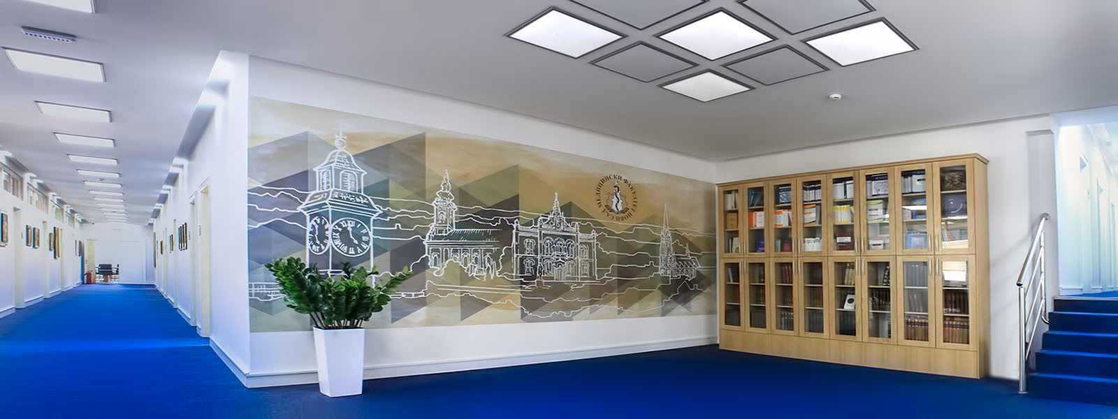 What is the Faculty of Medicine of Novi Sad?