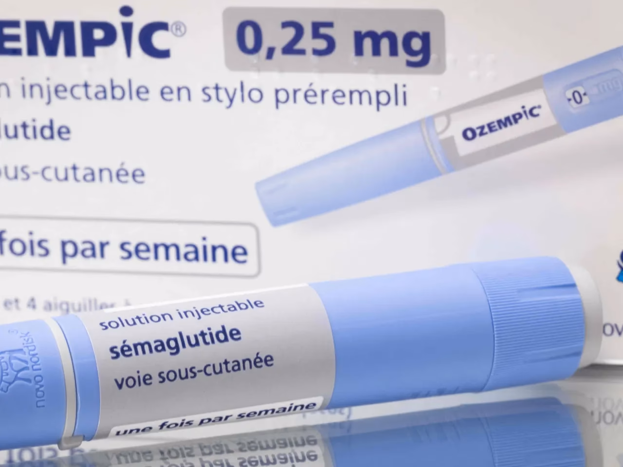 What is the Novo Nordisk Patient Assistance Program (PAP)?