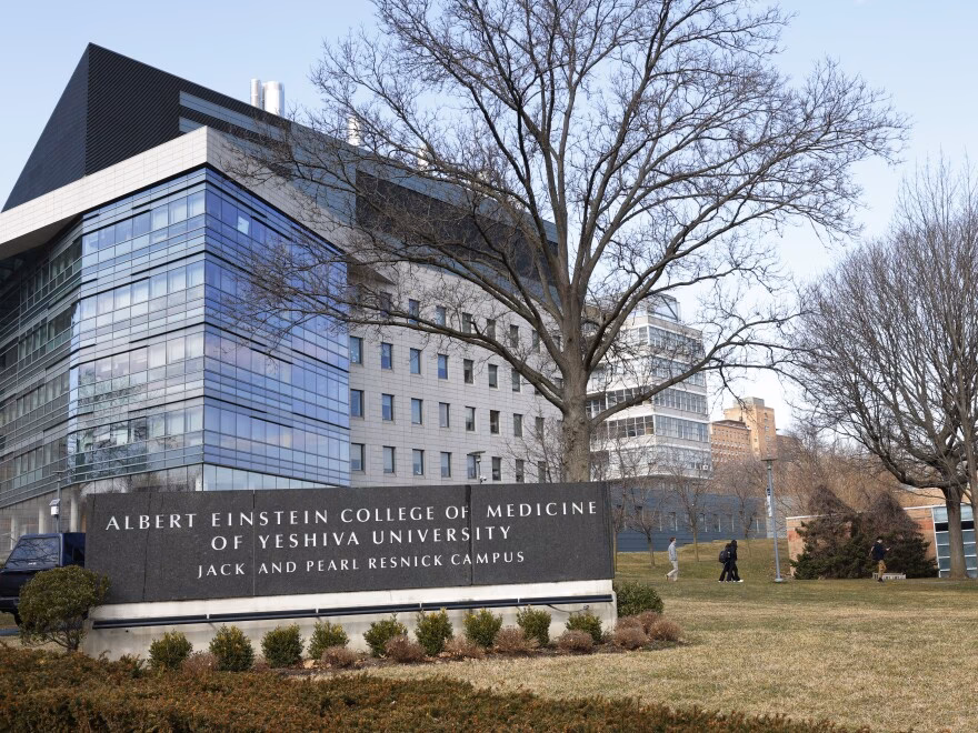 Where is Montefiore Einstein Medical Center located?