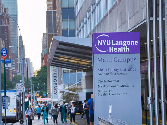 What is the address for New York University?