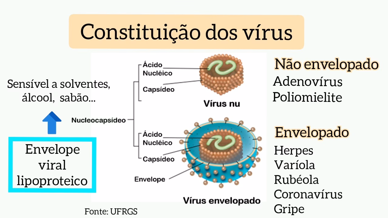 Quais são os exemplos de vírus envelopado?