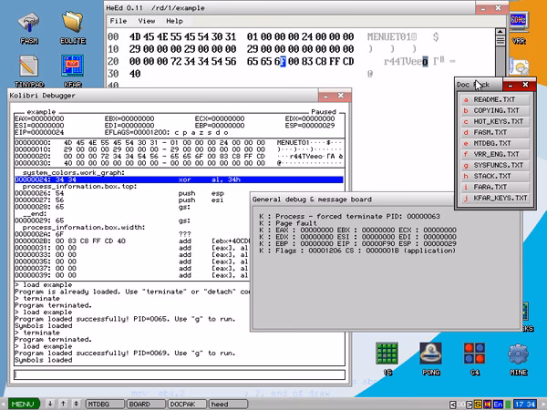 What operating systems do hobbyists use?
