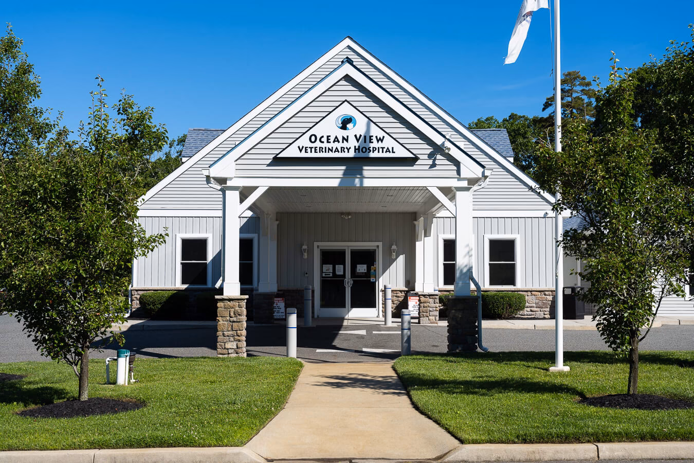 Why should you choose Ocean View veterinary hospital?