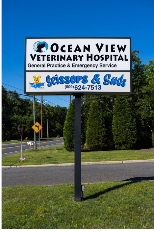 Why should you choose Ocean View veterinary hospital?