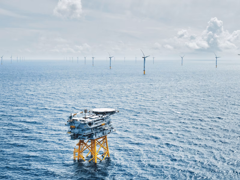 What happened to Denmark's offshore wind tenders in 2024?