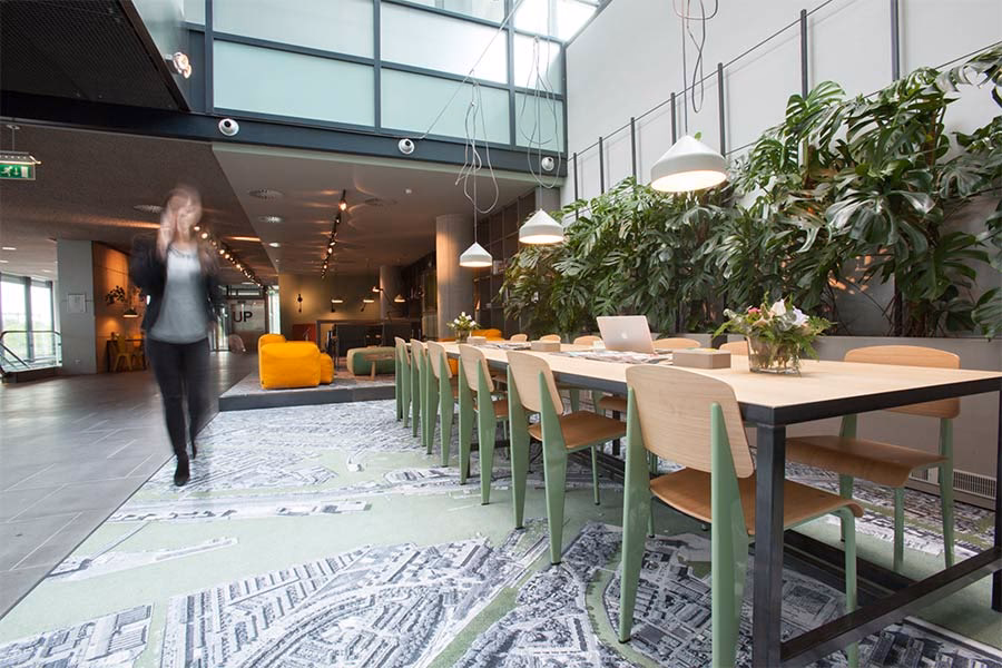 What are ++ & ++ operators?