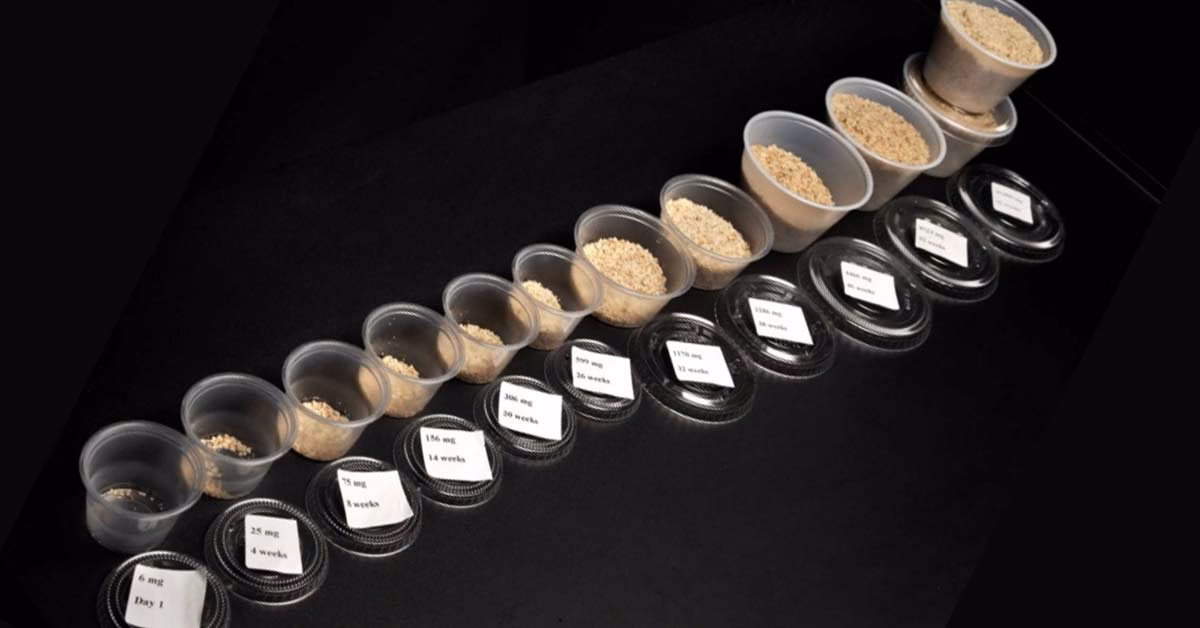 Does OIT help a food allergy?