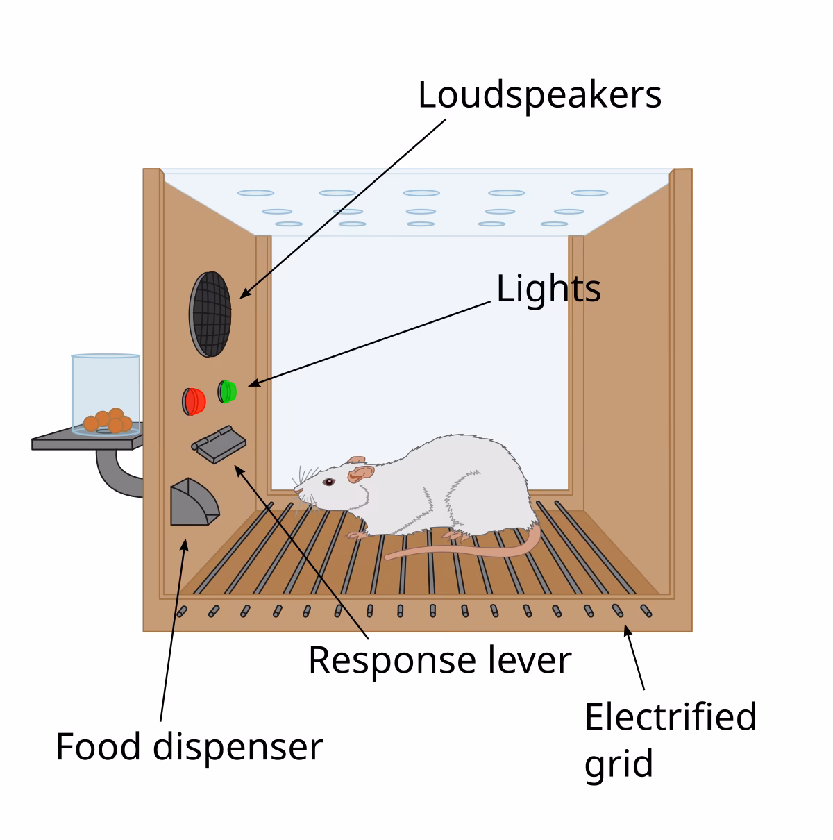 Who created the operant conditioning chamber?