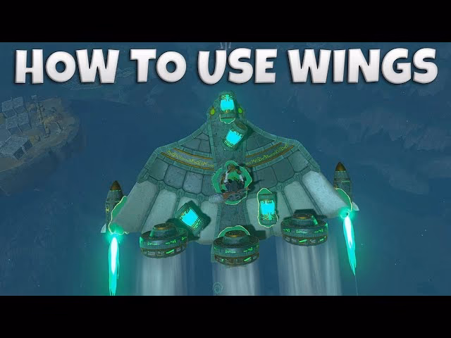 What is a wing on a training plane?