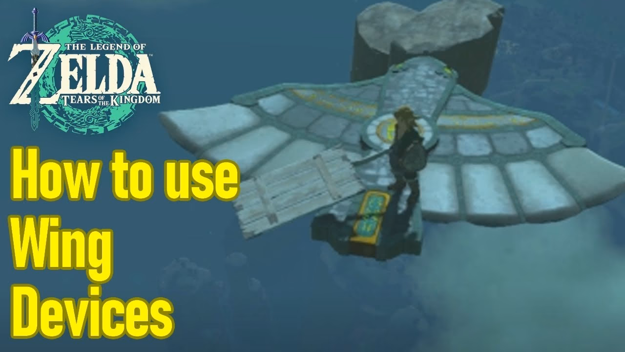 What are airplane wings?