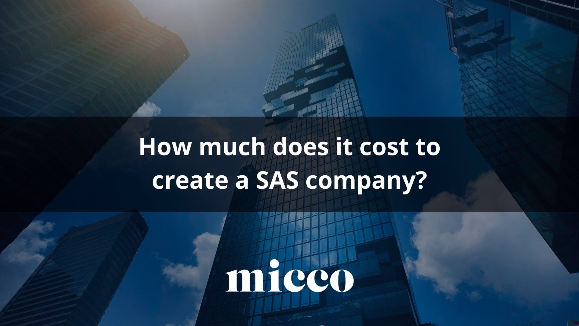 What is SAS cost and profitability management?