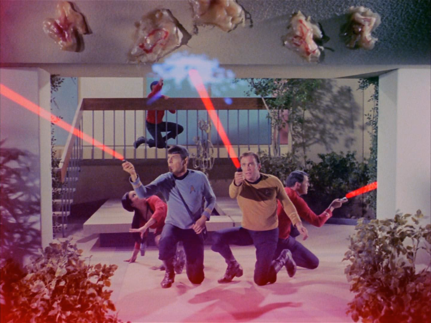 What is Operation Annihilate?