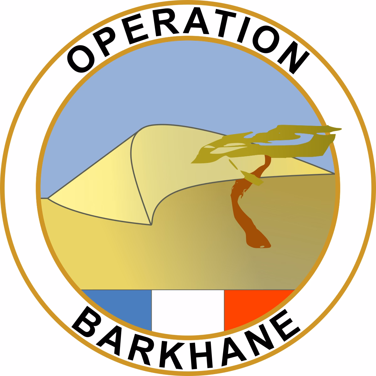 What happened at Barkhane?