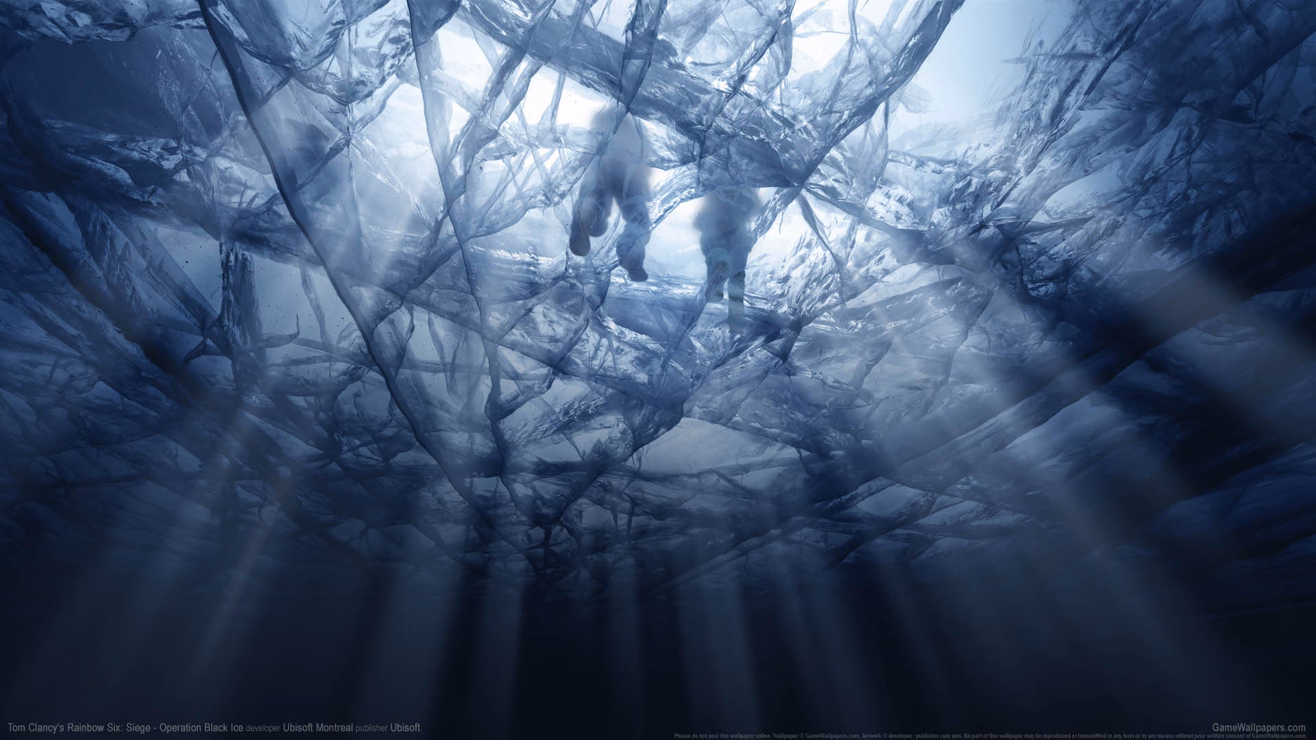 How many black ice R6 wallpapers are there?