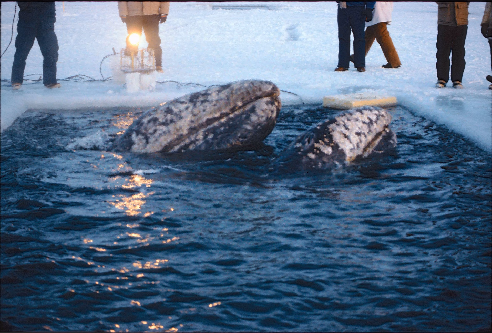 What is a 'breakthrough' in oil & gas extraction?