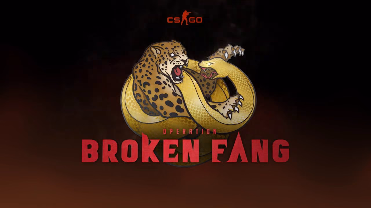 What is Operation Broken Fang case CS2?