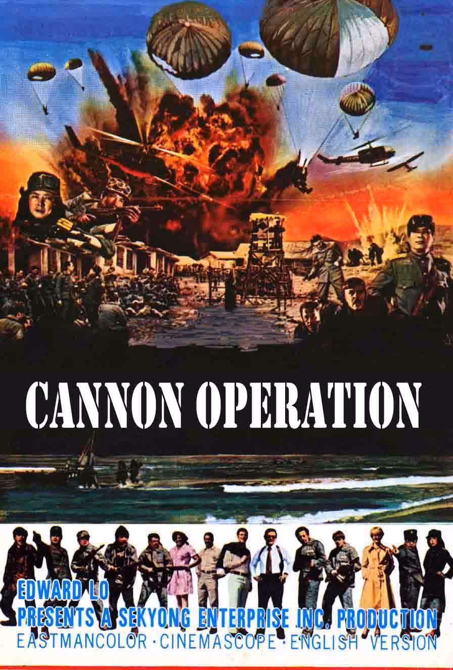 How did a cannon work?