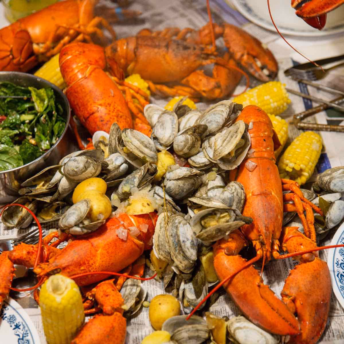 Why does Tory hate Operation Clambake?