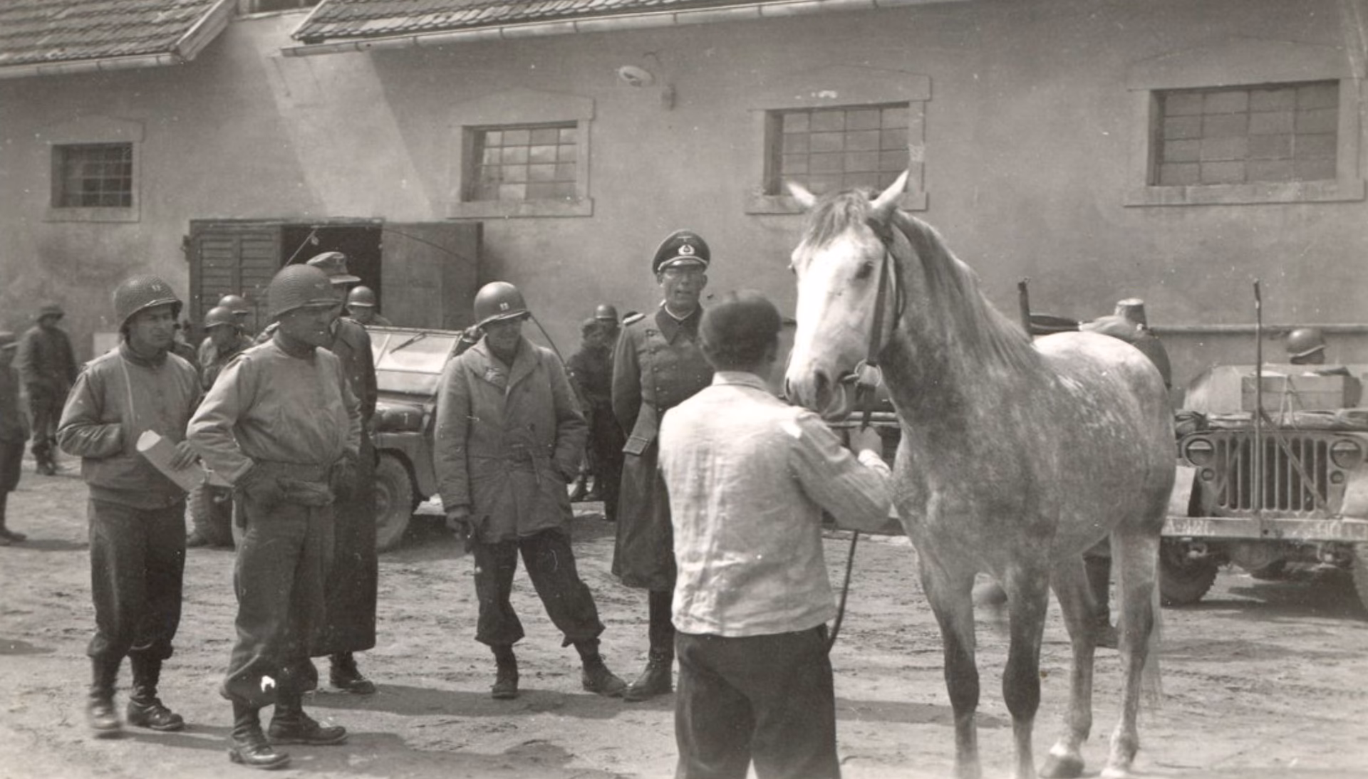 Why was a cowboy called a cowboy?