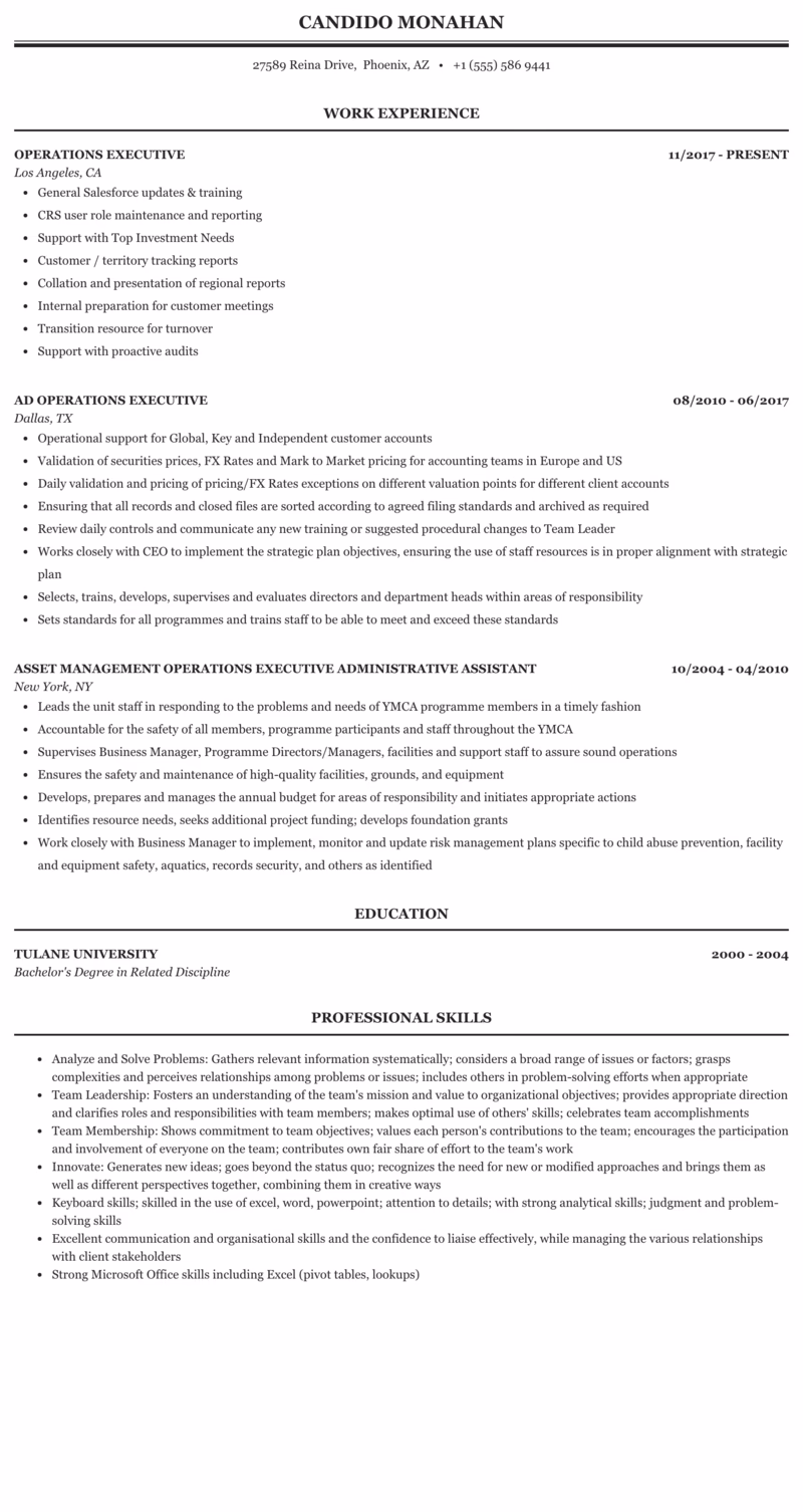 What skills do you need to be an Operations Executive?