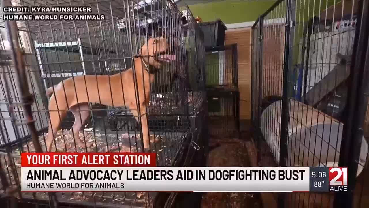 Who was involved in Operation Chowhound?