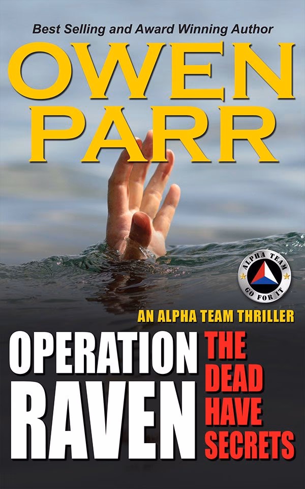 How does the GBAD Raven work?