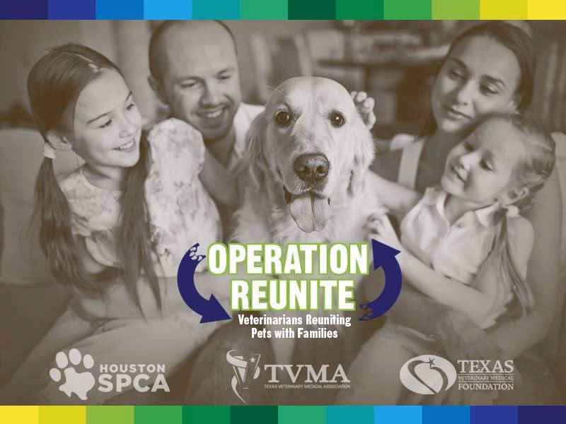 What is operation reunite in commandos origins?