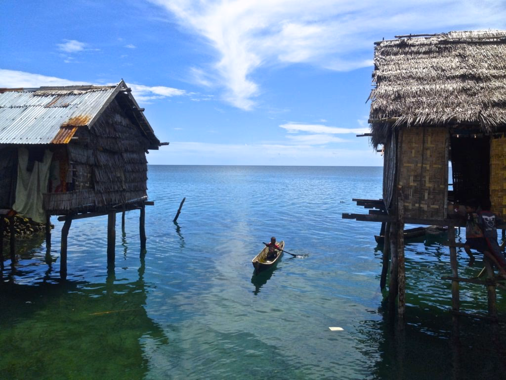 How many man-weeks did operations Wallacea do?