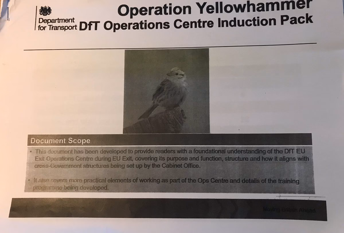 What is the Yellowhammer report?