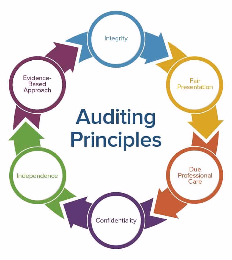 What are the steps in the operational auditing process?