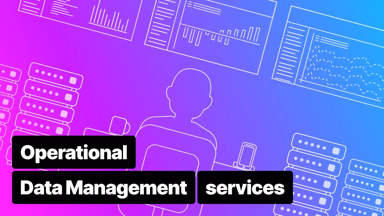 What are operational data management systems?