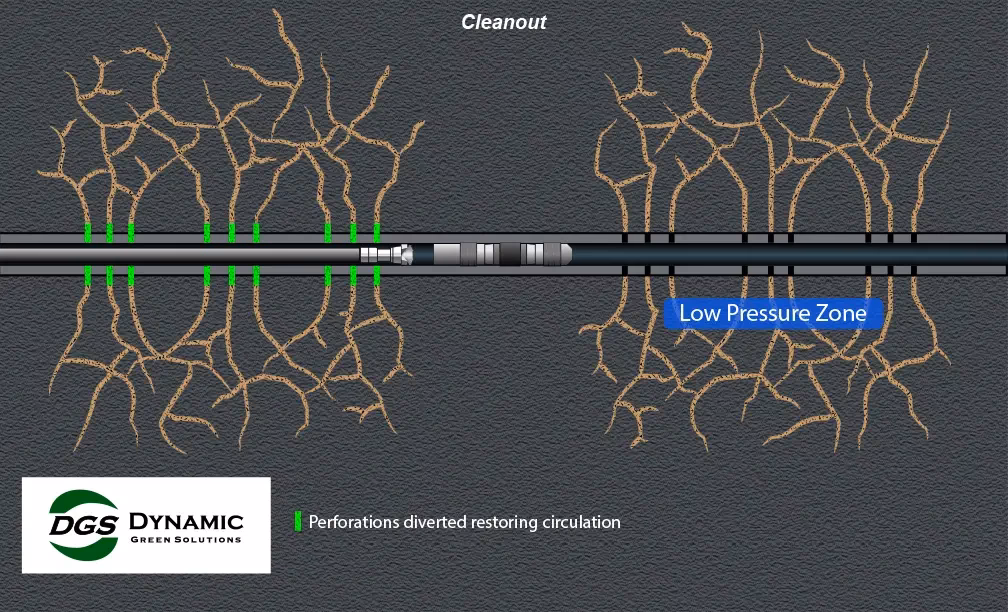 What is a risk-based contribution to a deposit guarantee scheme (DGS)?