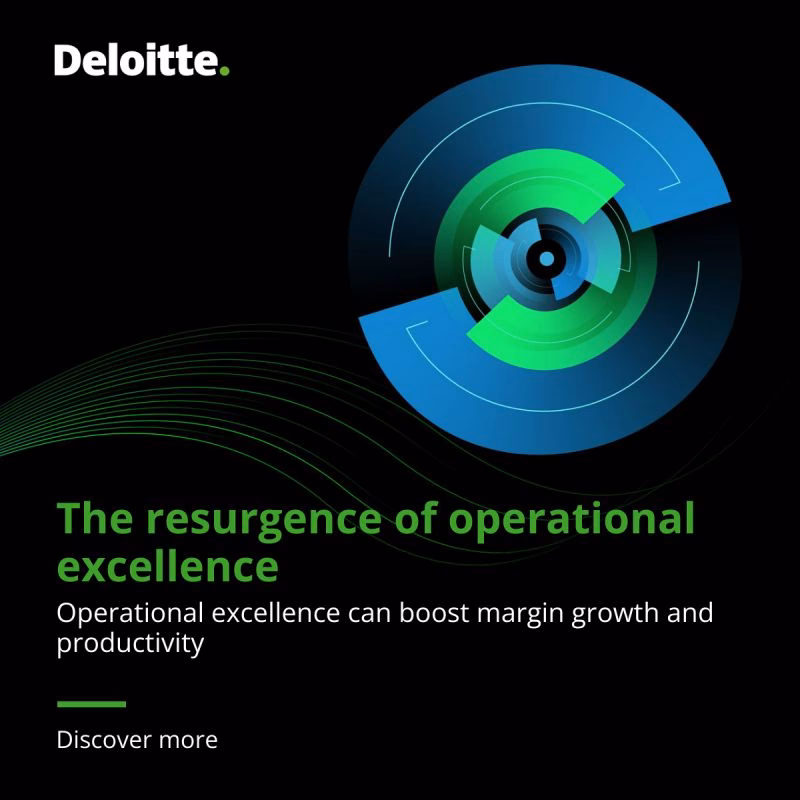 What does Deloitte do?