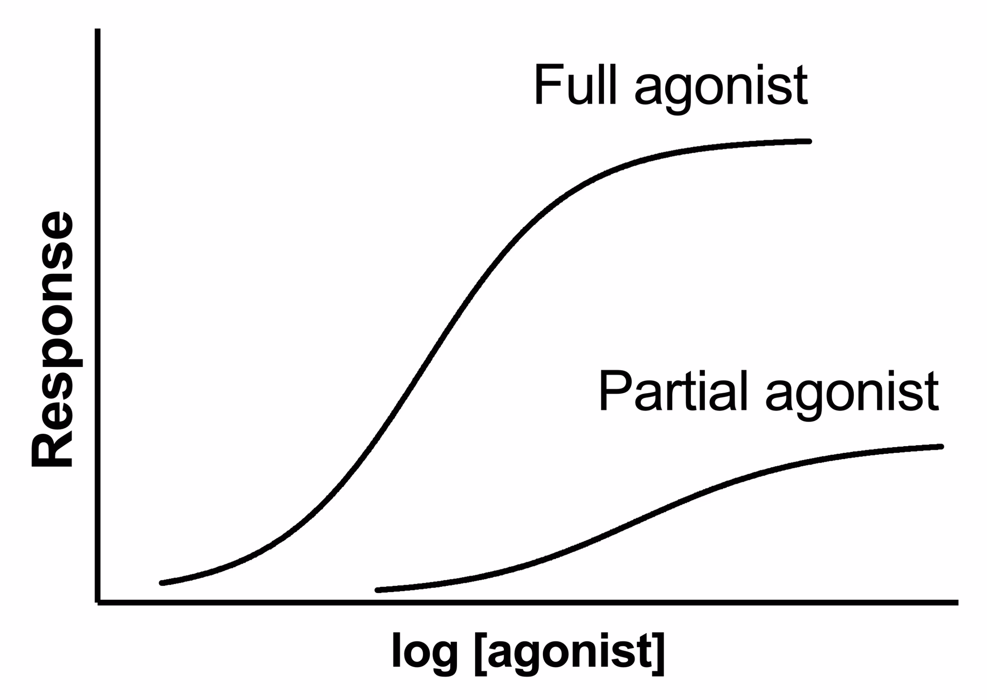 What is the operational model of functional receptor agonism?