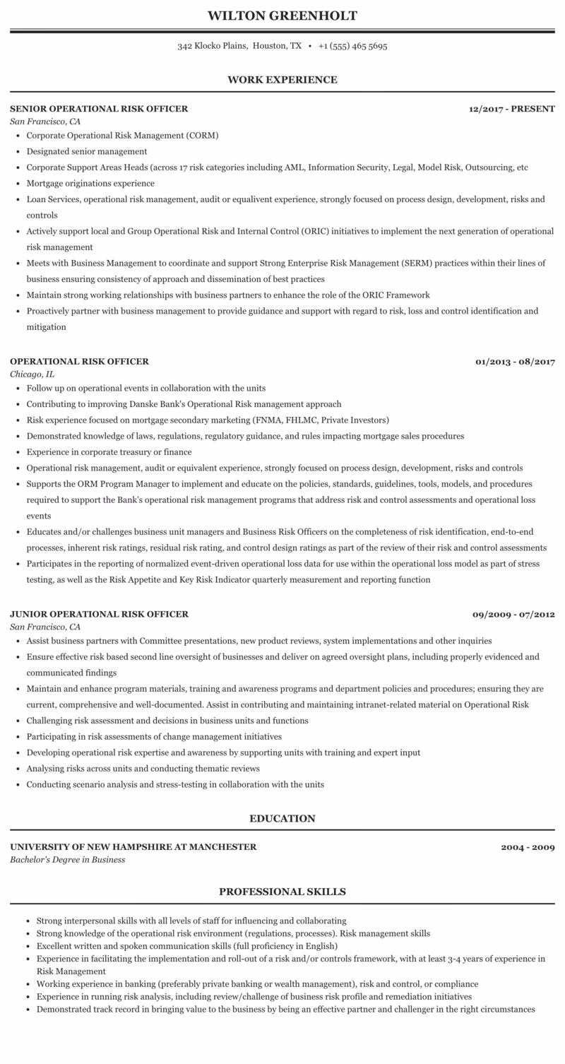 What is a risk operations job description?